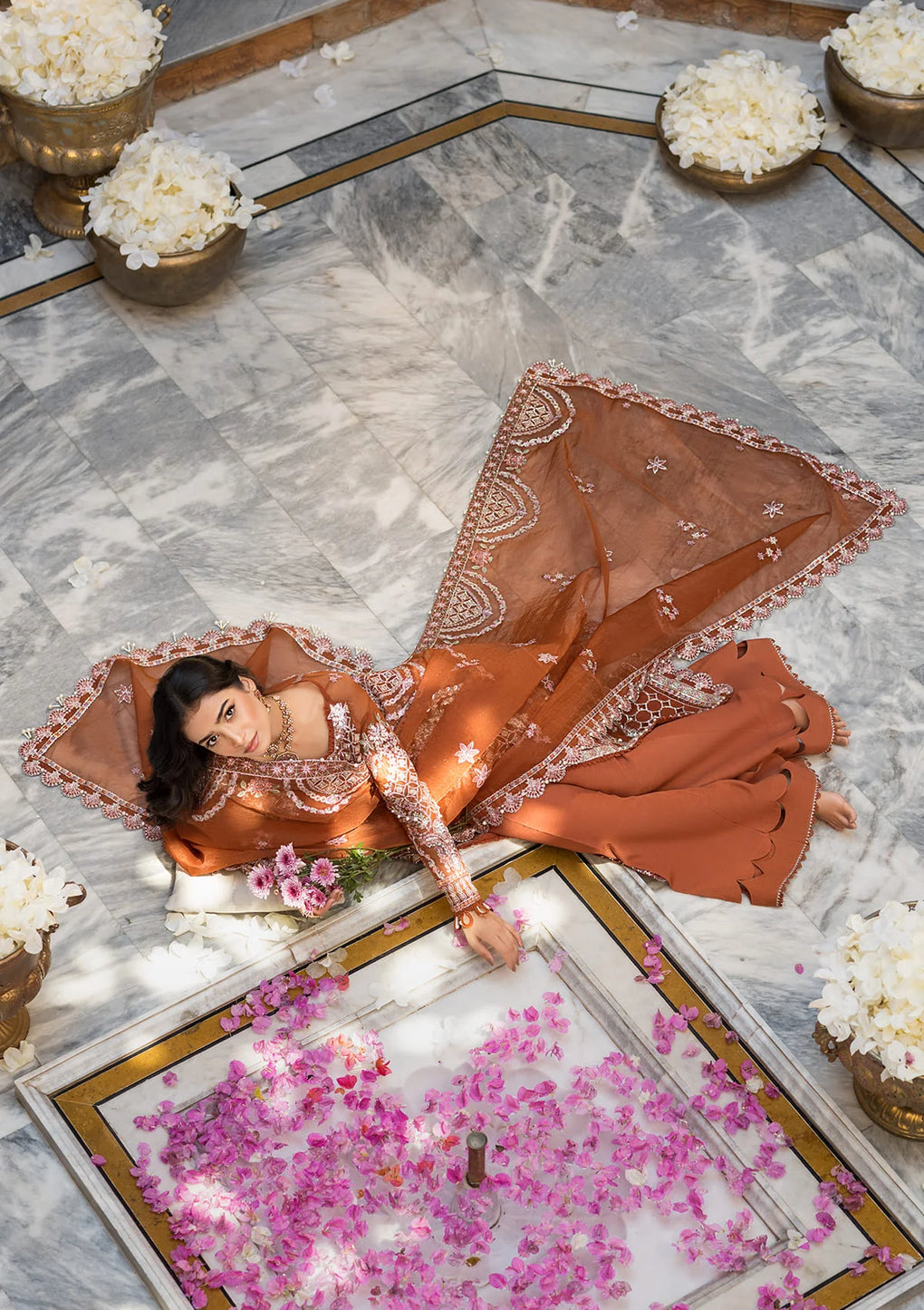 Celebration by Elaf collection | EFH-03 SHAHANA