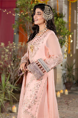 Shagun'25 By Imrozia ( M-107 Sahira )