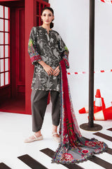 M/Basics Printed Collection`25 D-6A