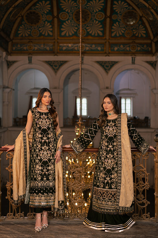 Raani by Razab New Collection 2024 RRV-02