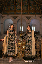 Raani by Razab New Collection 2024 RRV-02