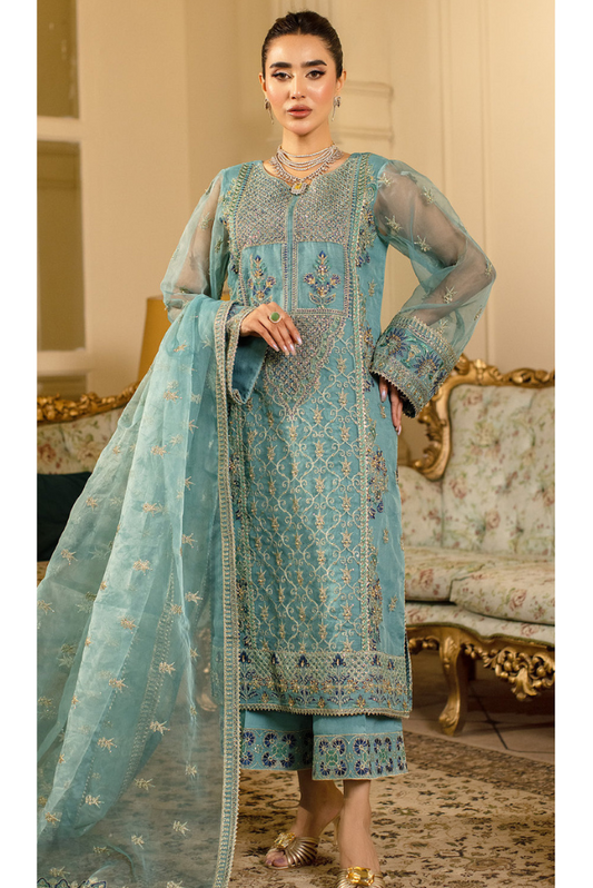 Raj Kumari By Sidra Aleem 2025 D-07