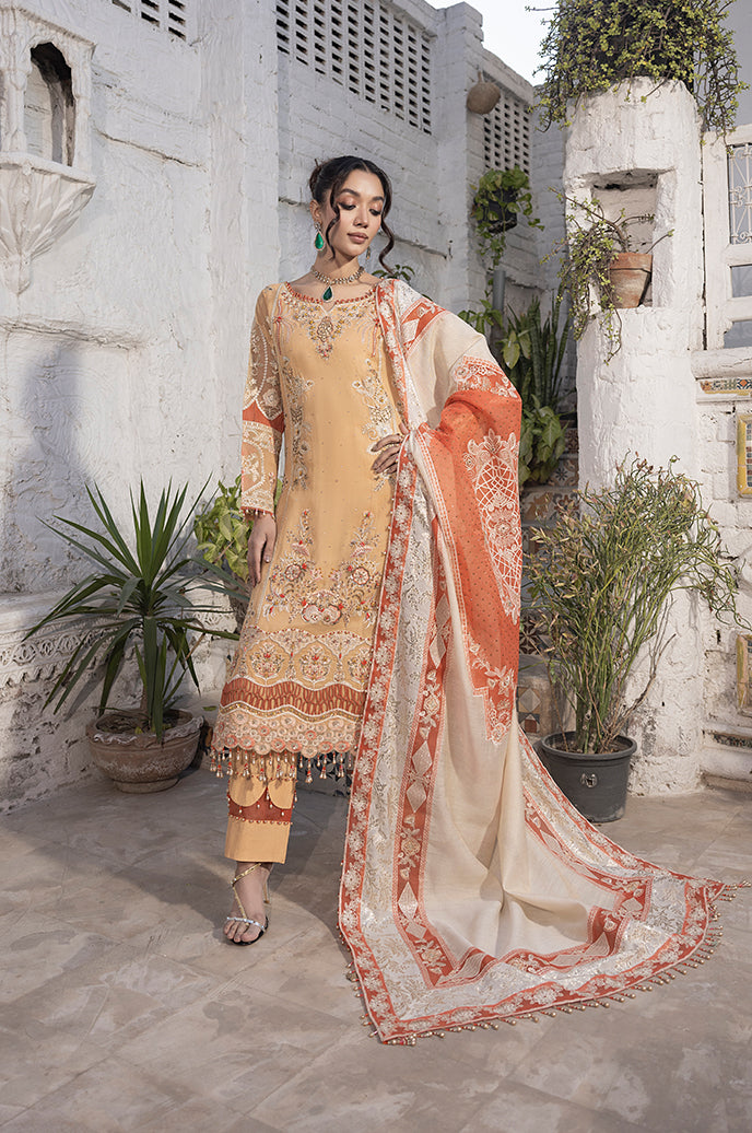 Ranjhan By Razab Wedding Formals (D-RJN-03)