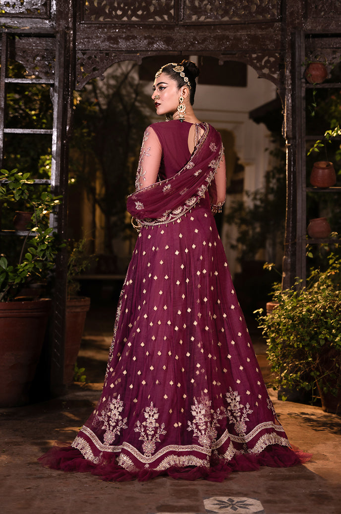 Saanjh Organza Embroidered collection By Razab - Tishnagi (SJH-05)