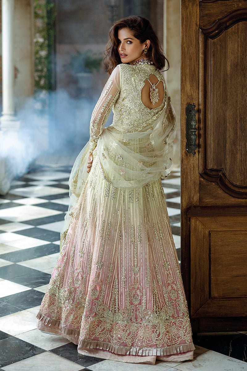 Stardust By Mushq | Cosmic Couture