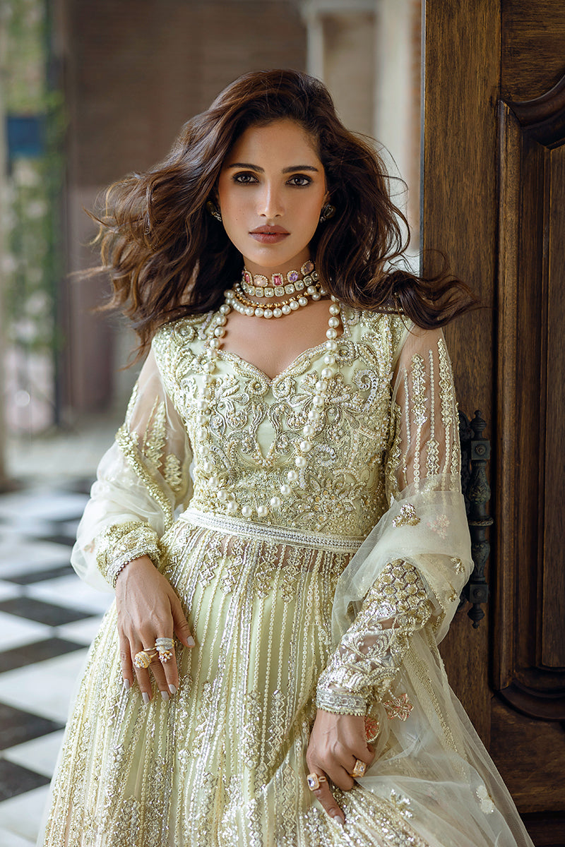 Stardust By Mushq | Cosmic Couture