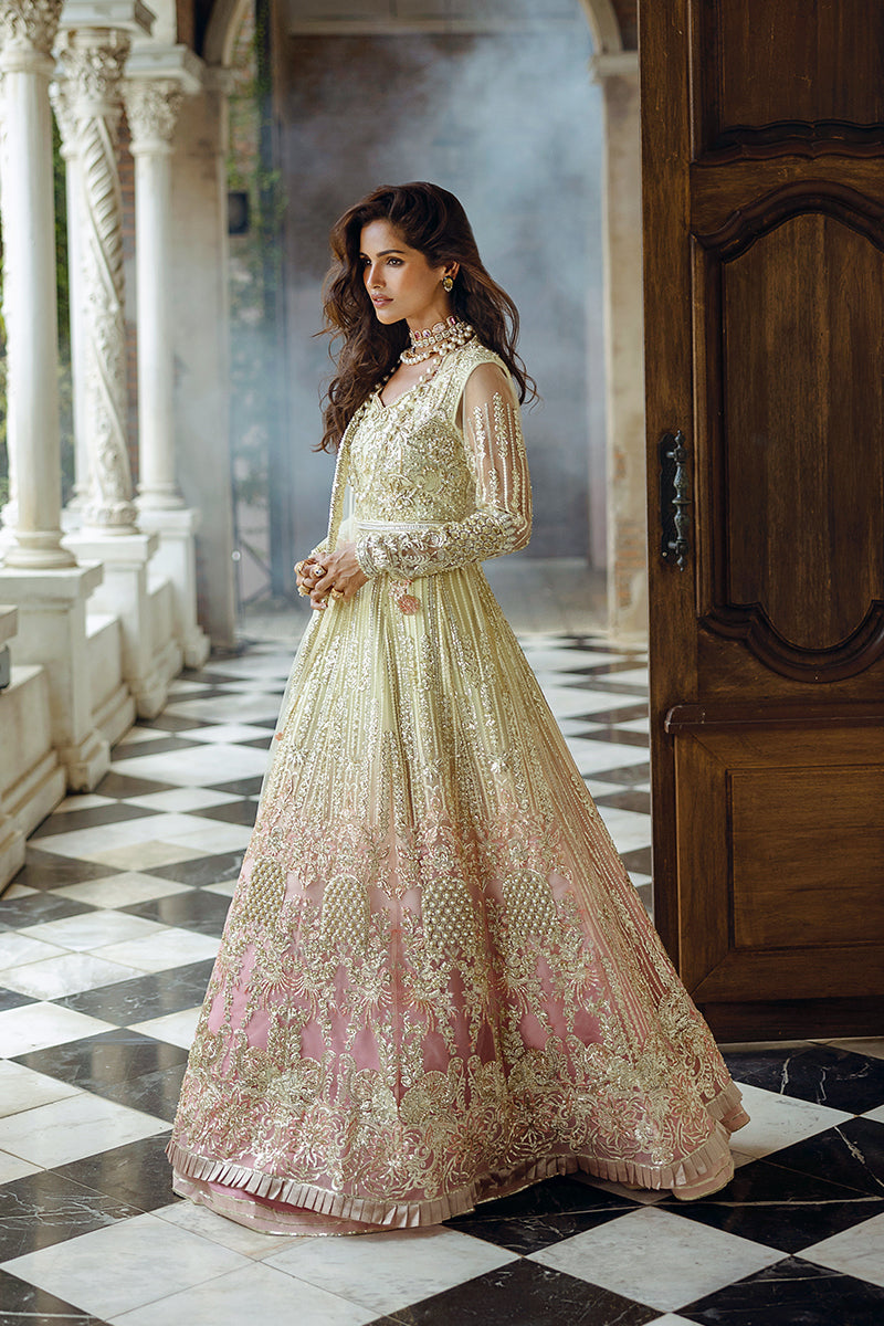 Stardust By Mushq | Cosmic Couture