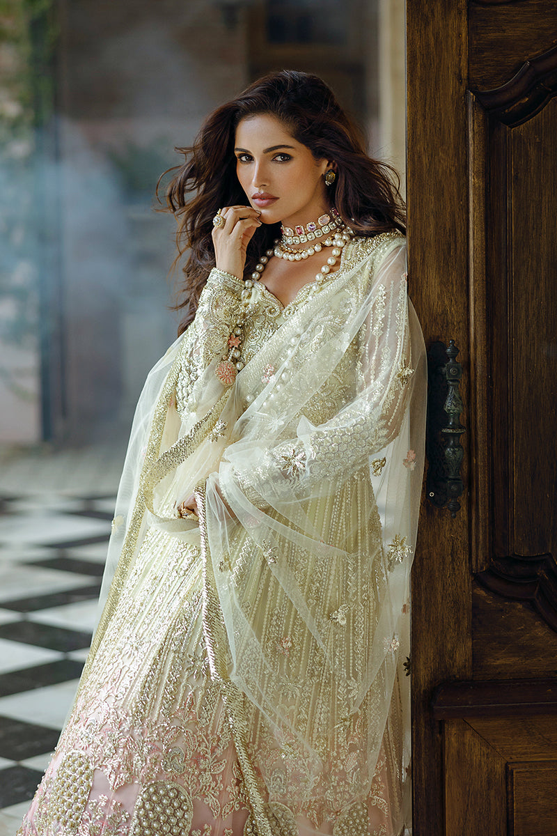 Stardust By Mushq | Cosmic Couture
