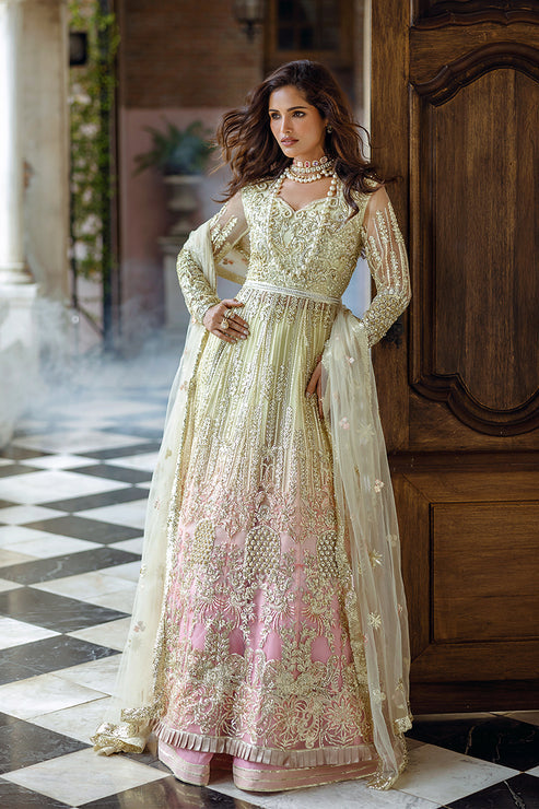 Stardust By Mushq | Cosmic Couture