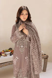 Dastan By Ramsha (T-504)