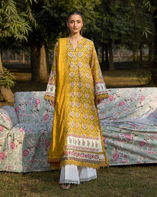 Embroidered Chikankari By Raha Vol 01 D#06