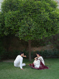 Mausam By Bin ilyas (501)