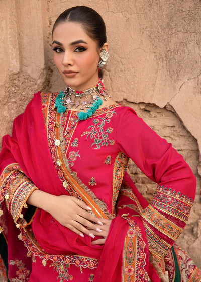 Almari-E-Naaz by Zarizaa`25 GHULABI GHULAB