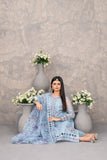Dilkash Embroidered Fancy Organza D-4275 - Vol-2