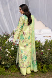 Printkari Exclusive By Rajbari (01)