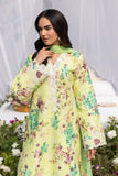 Printkari Exclusive By Rajbari (01)