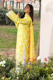 Printkari Exclusive By Rajbari (05)