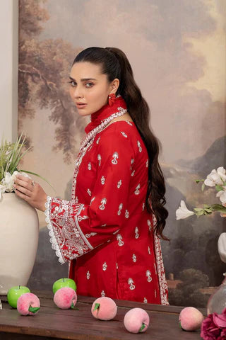 Raeesa Premium | Noor E Fajar | Aafreen | NF - 1433