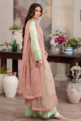 Raeesa Premium | Noor E Fajar | Aafreen | NF - 1434