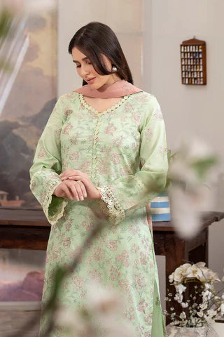 Raeesa Premium | Noor E Fajar | Aafreen | NF - 1434