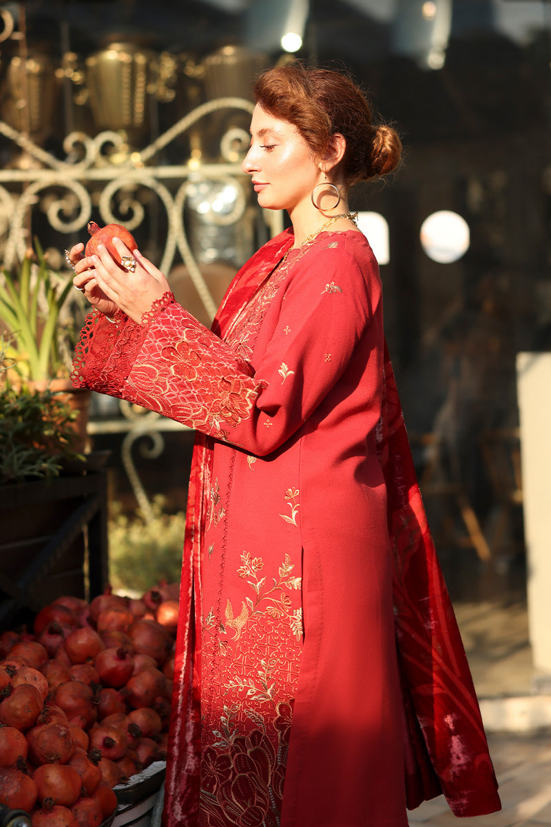 Carnation Luxury Shawl Edit'25 By Rang Rasiya ( Cold Brew )