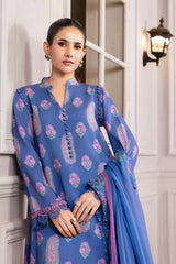 M/Basics Printed Collection`25 D-10B