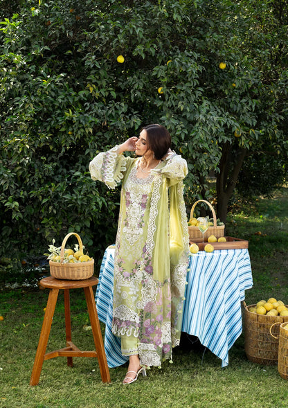 LUXURY LAWN BY ELAF PREMIUM (ELY-08 PISTACHIA)