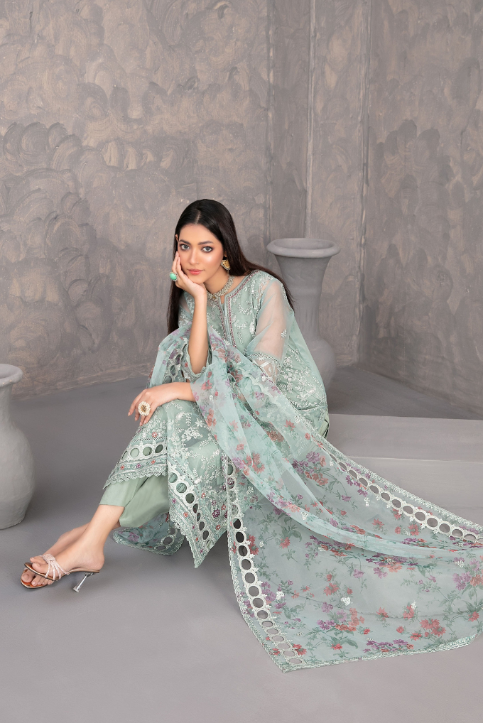Dilkash Embroidered Fancy Organza Vol-01 D-4274