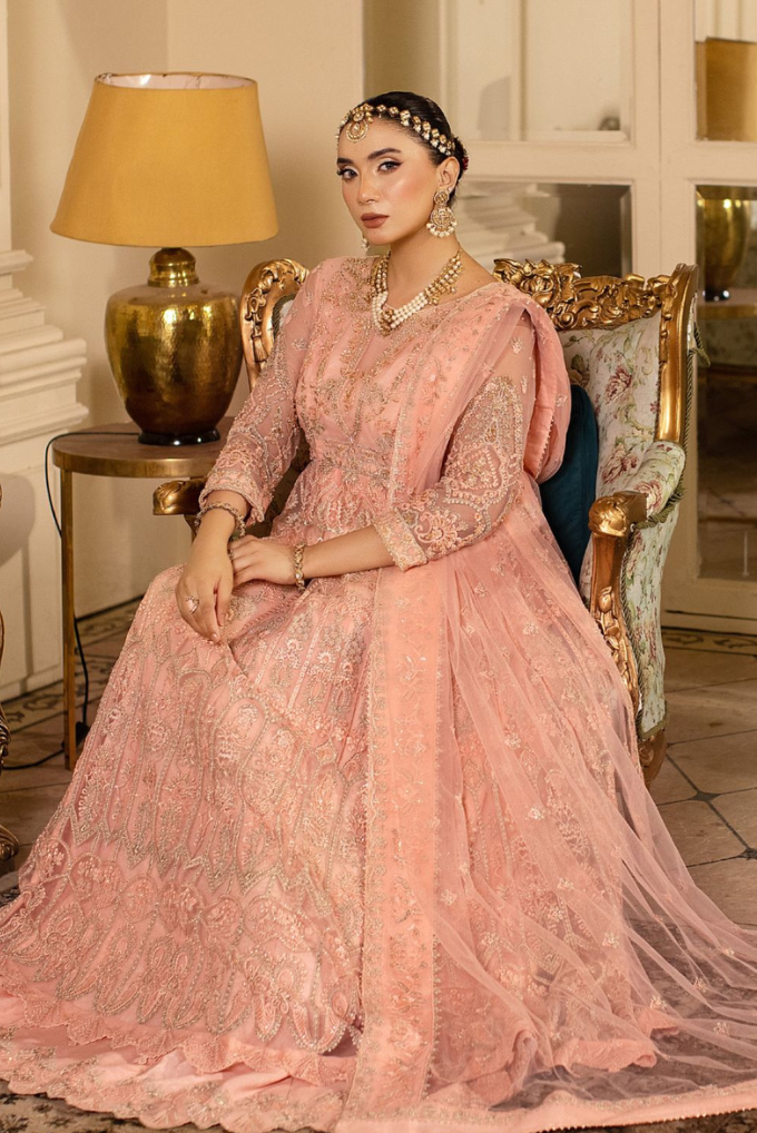 Raj Kumari By Sidra Aleem 2025  D-03