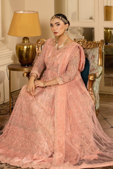 Raj Kumari By Sidra Aleem 2025  D-03
