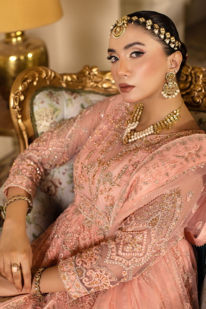 Raj Kumari By Sidra Aleem 2025  D-03