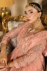 Raj Kumari By Sidra Aleem 2025  D-03