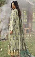 Exclusive Wool Shawal Collection'25 By OMRE ( 4 )