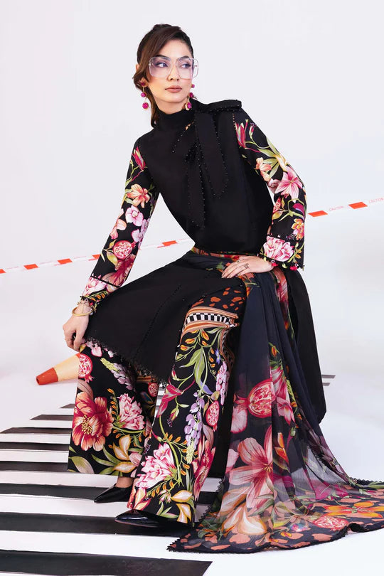 M/Basics Printed Collection`25 D-1B