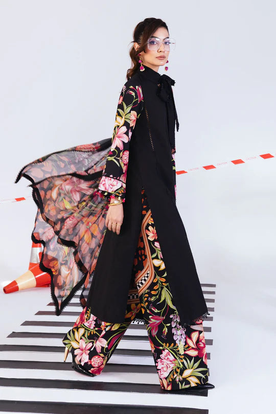 M/Basics Printed Collection`25 D-1B