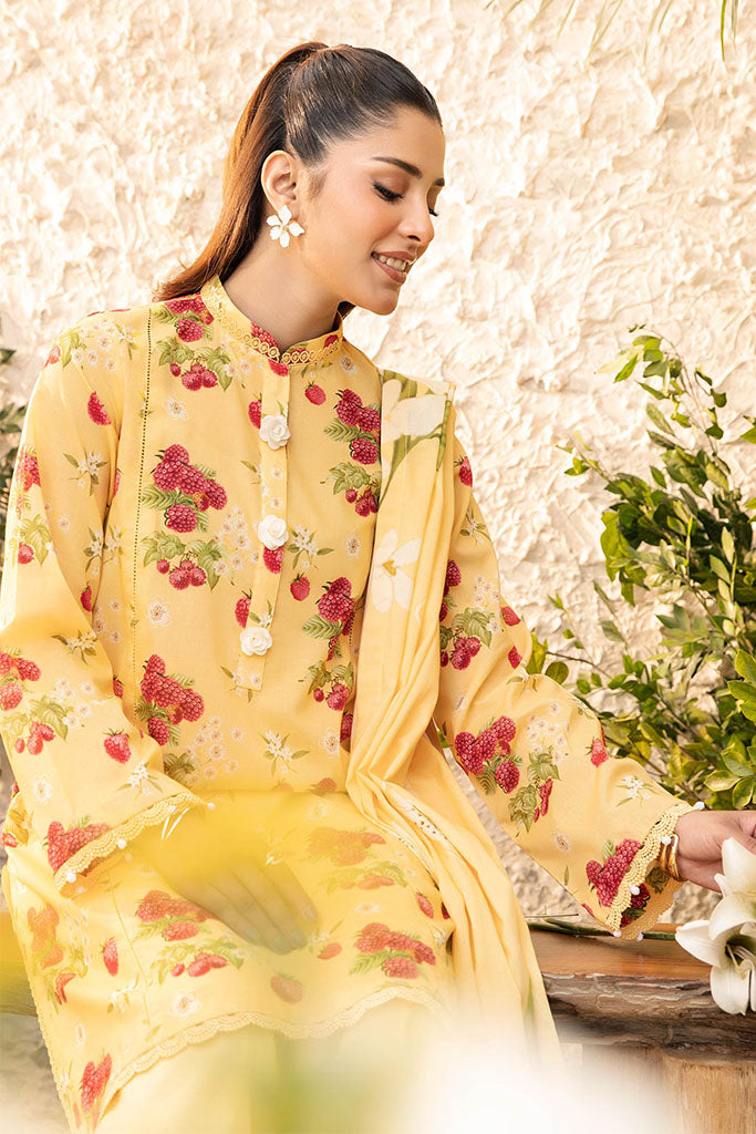 Elaheh By Maria B MBASIC Printed Lawn MB-06