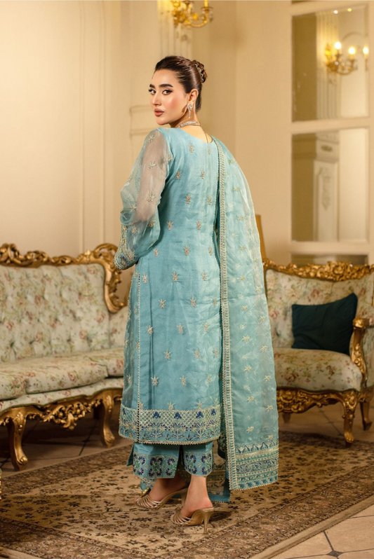 Raj Kumari By Sidra Aleem 2025  D-07