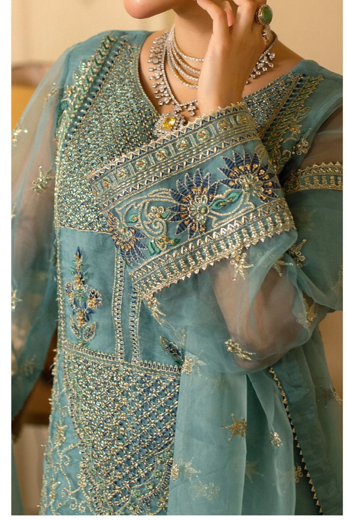 Raj Kumari By Sidra Aleem 2025  D-07