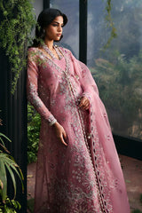 La Fuchsia Festive`25 by Afrozeh SERAIRA
