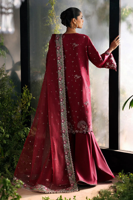La Fuchsia Festive`25 by Afrozeh YALIRA