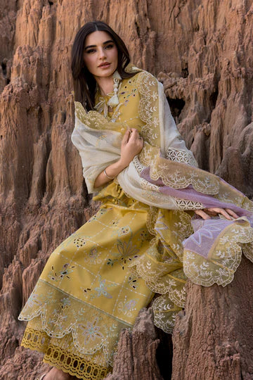 Rang Rasiya Premium Edit'25 Nadia