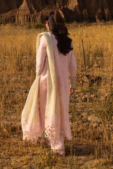 Rang Rasiya Premium Edit'25 Nehal