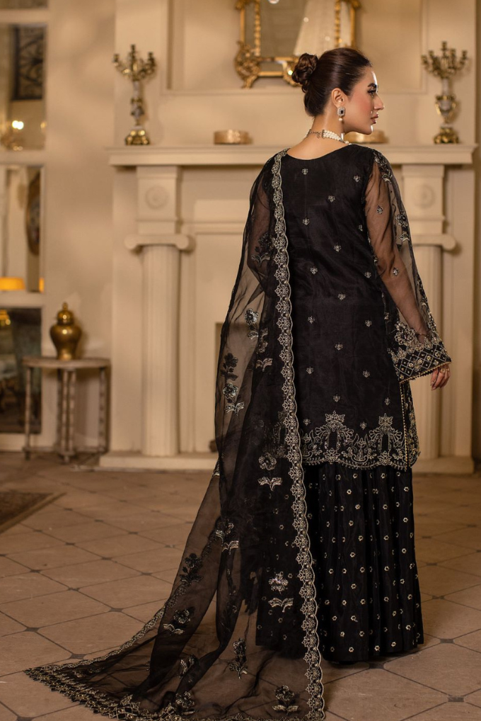 Raj Kumari By Sidra Aleem 2025 D-04