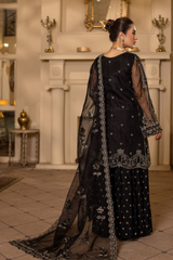 Raj Kumari By Sidra Aleem 2025 D-04