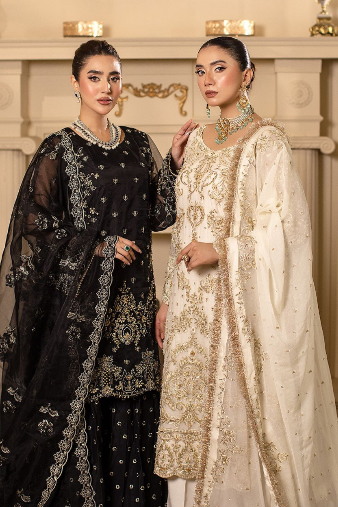 Raj Kumari By Sidra Aleem 2025 D-04