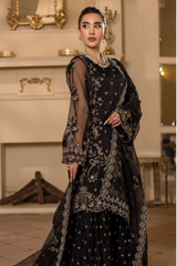 Raj Kumari By Sidra Aleem 2025 D-04