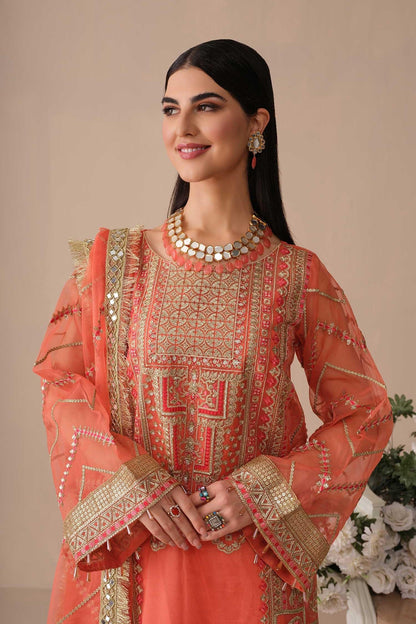 Noor Jahan by freesia premium (FFD-0094 Ashna)