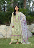 Chikankari Prints By Elaf (ERC-2A HINA)
