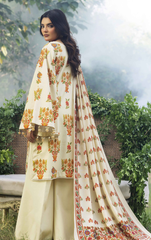 Exclusive Wool Shawal Collection'25 By OMRE ( 2 )