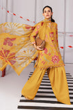 M/Basics Printed Collection`25 D-4B
